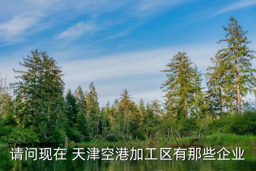 請(qǐng)問(wèn)現(xiàn)在 天津空港加工區(qū)有那些企業(yè)