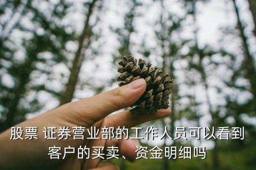股票 證券營(yíng)業(yè)部的工作人員可以看到客戶的買賣、資金明細(xì)嗎