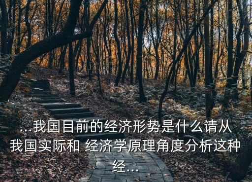 ...我國目前的經(jīng)濟(jì)形勢是什么請從我國實(shí)際和 經(jīng)濟(jì)學(xué)原理角度分析這種經(jīng)...
