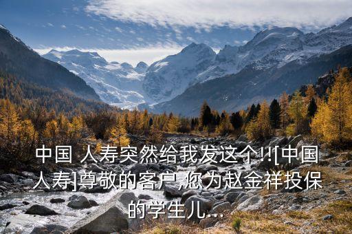 中國(guó)人壽說(shuō)我保全服務(wù)生效