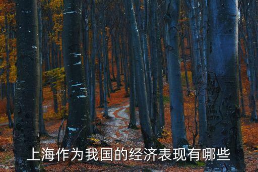 上海作為我國的經(jīng)濟表現(xiàn)有哪些