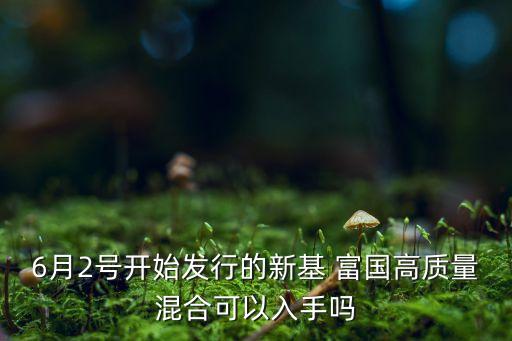 6月2號(hào)開始發(fā)行的新基 富國(guó)高質(zhì)量混合可以入手嗎