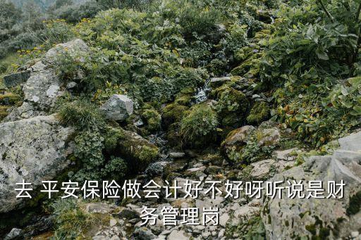 中國平安保險公司財務(wù)部職責(zé)