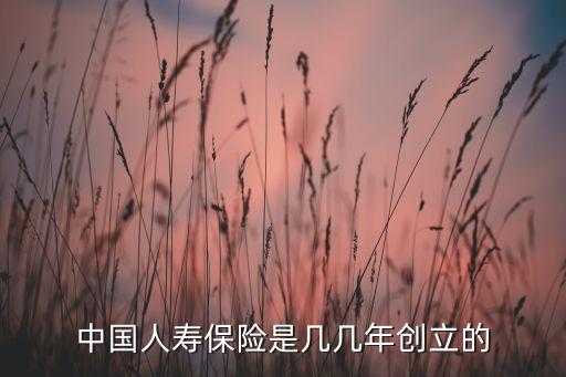 中國人民財(cái)產(chǎn)保險股份有限公司董事長