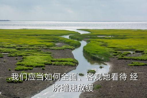 .我們應當如何全面、客觀地看待 經(jīng)濟增速放緩