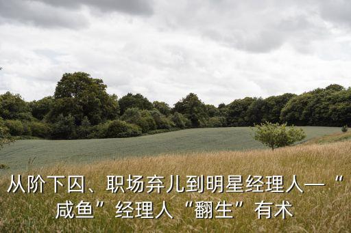 從階下囚、職場(chǎng)棄兒到明星經(jīng)理人—“咸魚”經(jīng)理人“翻生”有術(shù)
