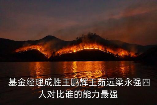  基金經(jīng)理成勝王鵬輝王茹遠梁永強四人對比誰的能力最強