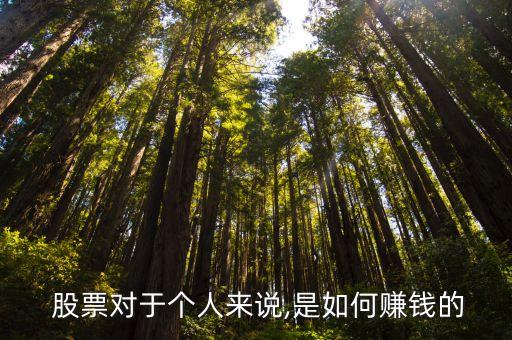  股票對(duì)于個(gè)人來(lái)說(shuō),是如何賺錢的