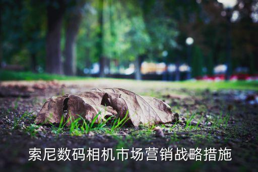  索尼數(shù)碼相機(jī)市場營銷戰(zhàn)略措施