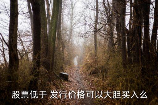  股票低于 發(fā)行價(jià)格可以大膽買(mǎi)入么