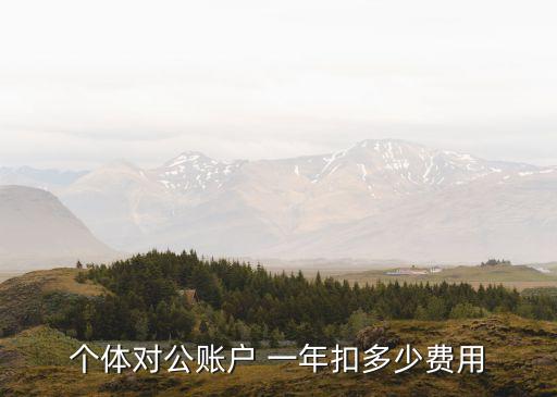 個(gè)體對公賬戶 一年扣多少費(fèi)用