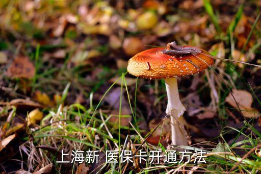  上海新 醫(yī)?？ㄩ_通方法