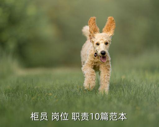 銀行遠(yuǎn)程授權(quán)崗位職責(zé)怎么寫,銀行運(yùn)營主管崗位職責(zé)及工作要點怎么寫