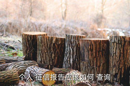 個人 征信報告應該如何 查詢