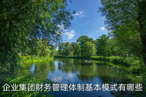 企業(yè)集團財務(wù)管理體制基本模式有哪些
