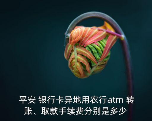  平安 銀行卡異地用農(nóng)行atm 轉(zhuǎn)賬、取款手續(xù)費(fèi)分別是多少
