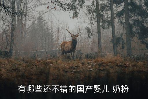 有哪些還不錯(cuò)的國產(chǎn)嬰兒 奶粉