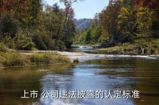  上市 公司違法披露的認定標準