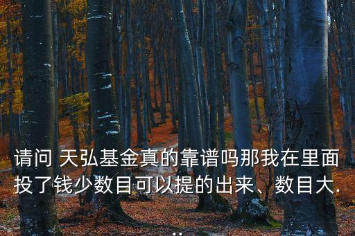 請(qǐng)問 天弘基金真的靠譜嗎那我在里面投了錢少數(shù)目可以提的出來、數(shù)目大...