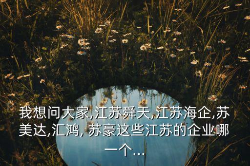 我想問大家,江蘇舜天,江蘇海企,蘇美達,匯鴻, 蘇豪這些江蘇的企業(yè)哪一個...