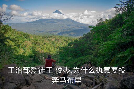 上海民生王俊杰,上?；磩F(tuán)王俊杰簡介