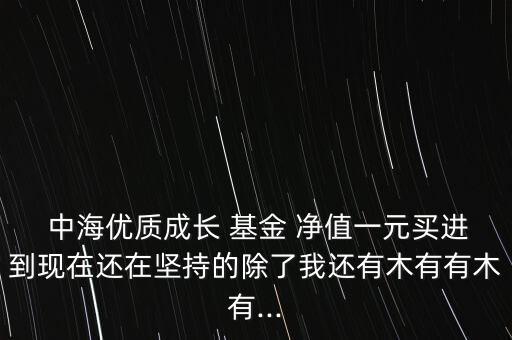  中海優(yōu)質成長 基金 凈值一元買進到現(xiàn)在還在堅持的除了我還有木有有木有...