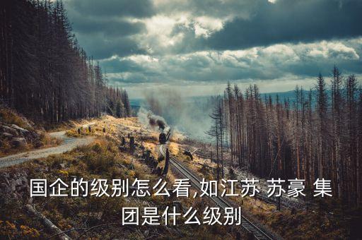 國企的級別怎么看,如江蘇 蘇豪 集團是什么級別