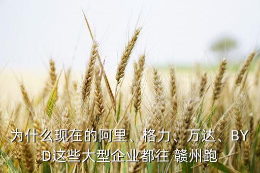 為什么現(xiàn)在的阿里、格力、萬達、BYD這些大型企業(yè)都往 贛州跑