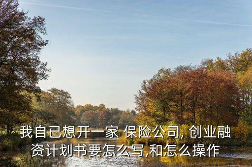 我自已想開(kāi)一家 保險(xiǎn)公司, 創(chuàng)業(yè)融資計(jì)劃書(shū)要怎么寫,和怎么操作