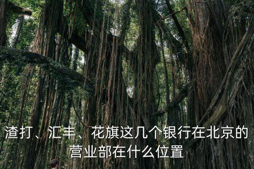 渣打、匯豐、花旗這幾個(gè)銀行在北京的營(yíng)業(yè)部在什么位置