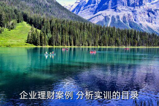企業(yè)理財案例 分析實訓的目錄