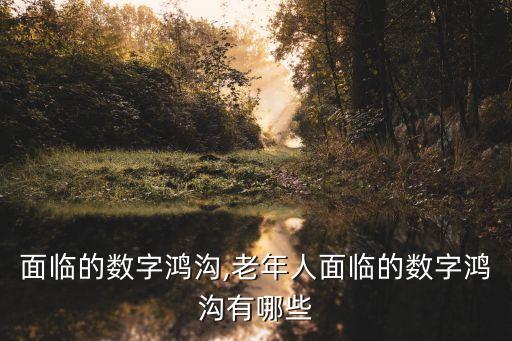 中國(guó)面臨的數(shù)字鴻溝,老年人面臨的數(shù)字鴻溝有哪些