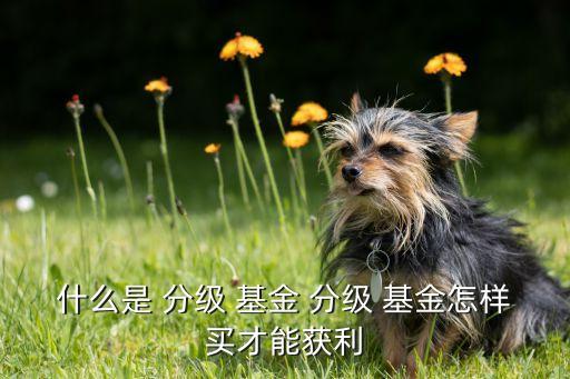 分級基金a投資機(jī)會,基金行業(yè)投資機(jī)會