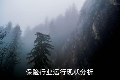 保險行業(yè)運行現狀分析