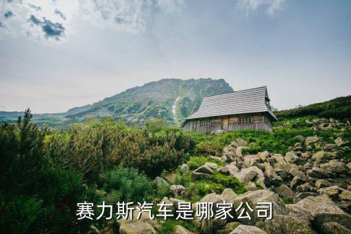 賽力斯汽車(chē)是哪家公司