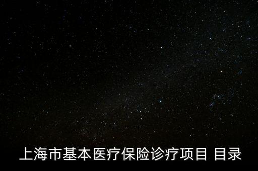  上海市基本醫(yī)療保險診療項(xiàng)目 目錄