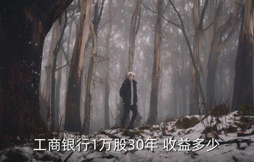 工商銀行1萬(wàn)股30年 收益多少