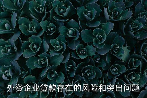 外資企業(yè)貸款存在的風(fēng)險(xiǎn)和突出問(wèn)題