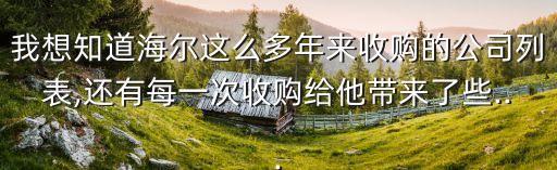 海爾集團(tuán)的對外投資的方式