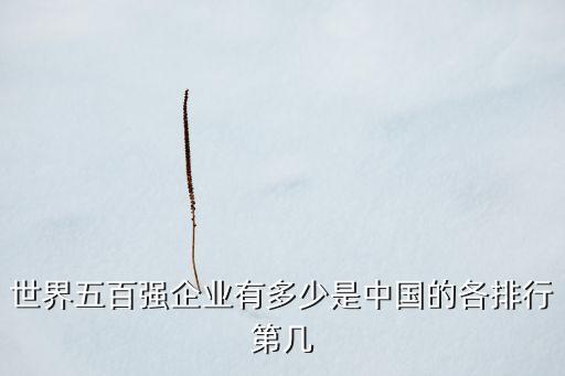 世界五百?gòu)?qiáng)企業(yè)有多少是中國(guó)的各排行第幾