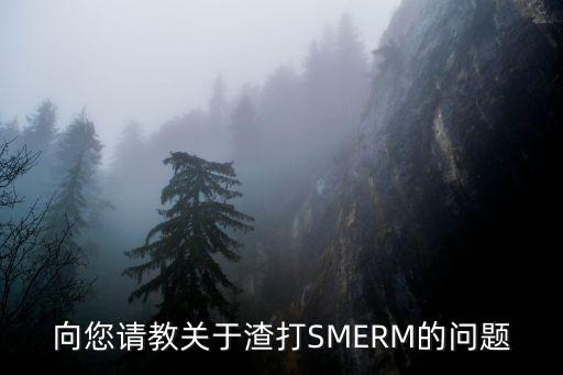 向您請(qǐng)教關(guān)于渣打SMERM的問(wèn)題
