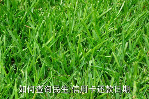 如何查詢(xún)民生 信用卡還款日期