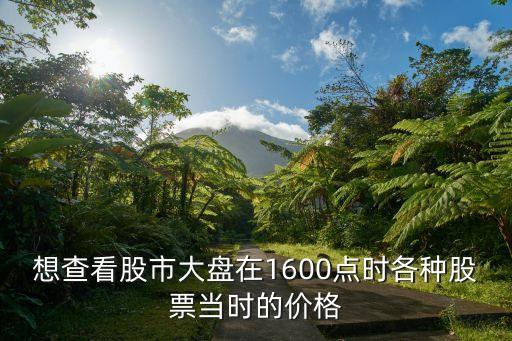 想查看股市大盤在1600點時各種股票當時的價格