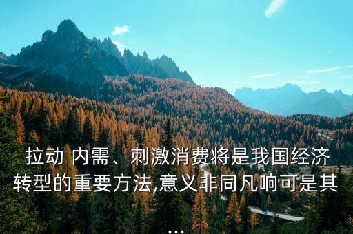  拉動(dòng) 內(nèi)需、刺激消費(fèi)將是我國(guó)經(jīng)濟(jì)轉(zhuǎn)型的重要方法,意義非同凡響可是其...