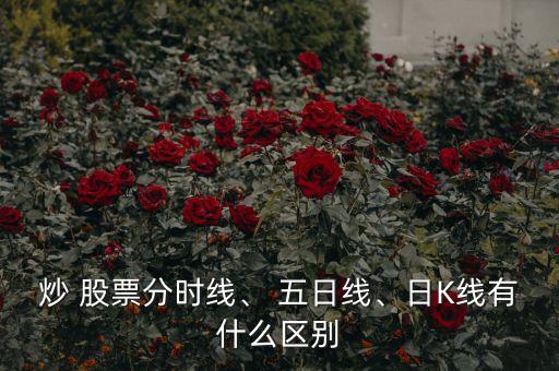 炒 股票分時(shí)線、 五日線、日K線有什么區(qū)別