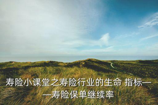 壽險小課堂之壽險行業(yè)的生命 指標(biāo)——壽險保單繼續(xù)率