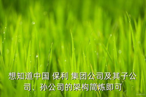 想知道中國(guó) 保利 集團(tuán)公司及其子公司、孫公司的架構(gòu)簡(jiǎn)煉即可