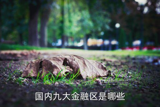 國內(nèi)九大金融區(qū)是哪些