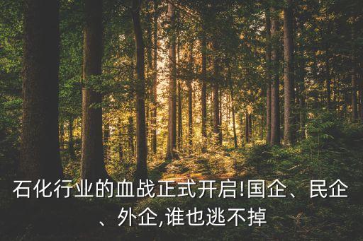 石化行業(yè)的血戰(zhàn)正式開啟!國企、民企、外企,誰也逃不掉