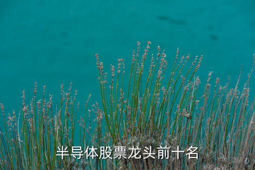 半導體股票龍頭前十名
